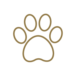 Pet Friendly